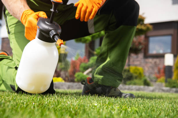 Best Flea Control Services  in Toppers, OK