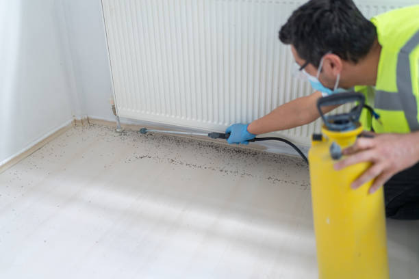 Best Affordable Pest Control Services  in Toppers, OK